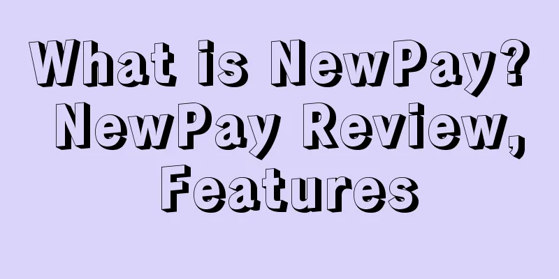 What is NewPay? NewPay Review, Features