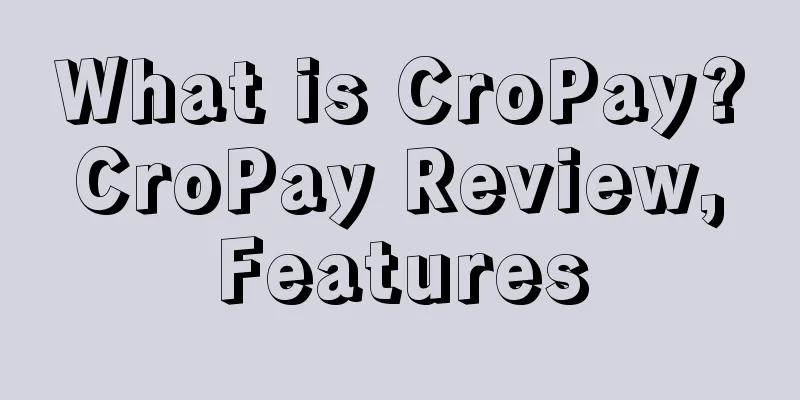 What is CroPay? CroPay Review, Features