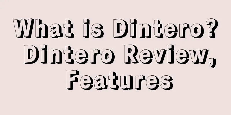 What is Dintero? Dintero Review, Features