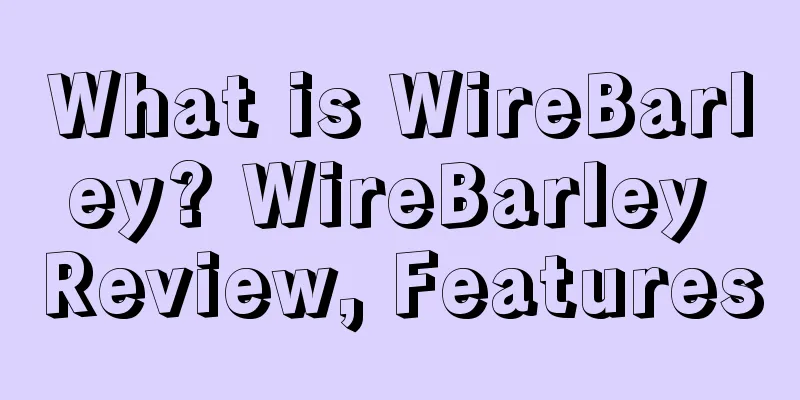 What is WireBarley? WireBarley Review, Features
