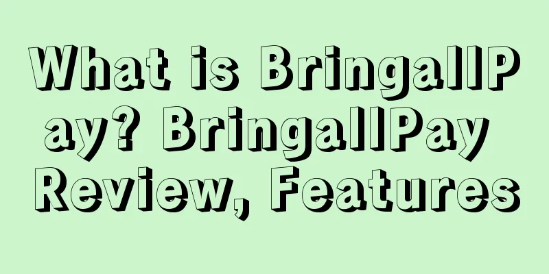 What is BringallPay? BringallPay Review, Features