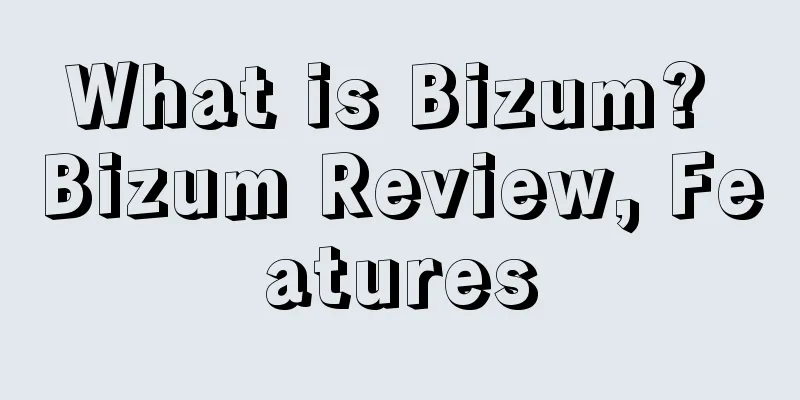 What is Bizum? Bizum Review, Features