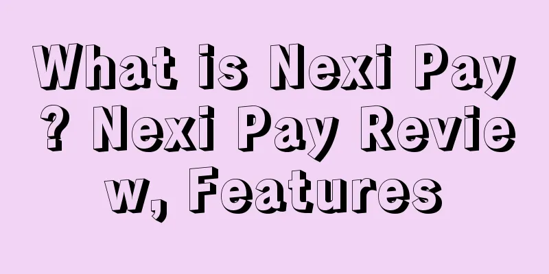 What is Nexi Pay? Nexi Pay Review, Features