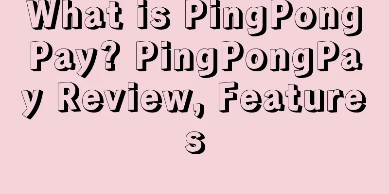 What is PingPongPay? PingPongPay Review, Features