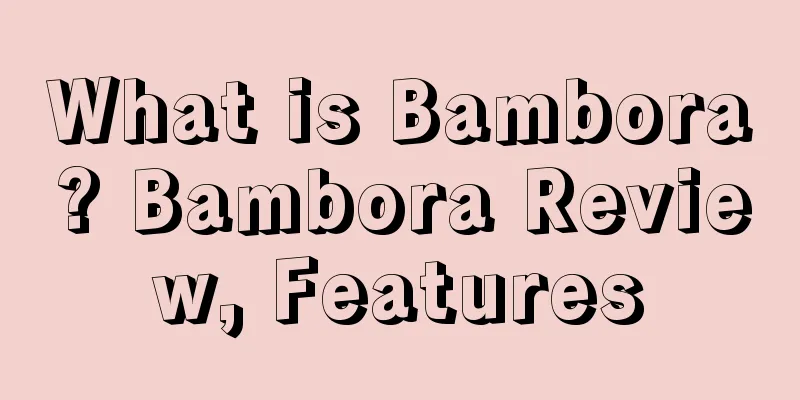 What is Bambora? Bambora Review, Features