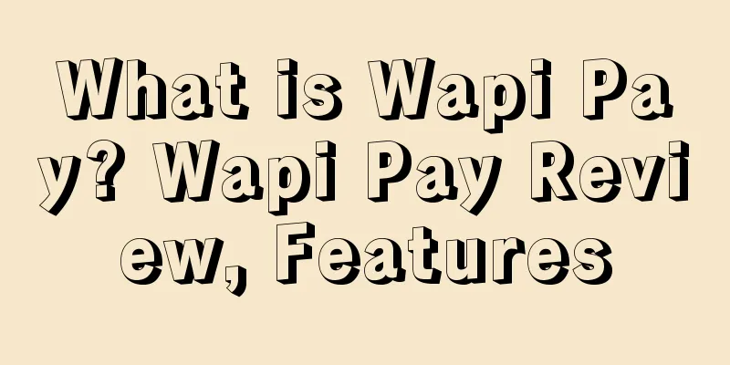 What is Wapi Pay? Wapi Pay Review, Features