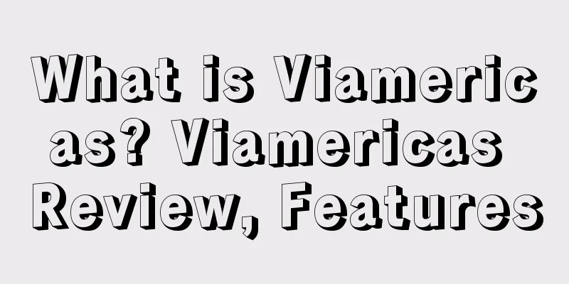 What is Viamericas? Viamericas Review, Features