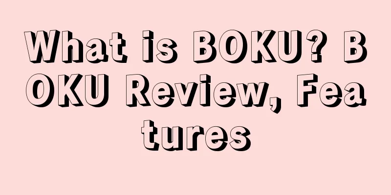 What is BOKU? BOKU Review, Features