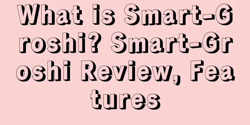 What is Smart-Groshi? Smart-Groshi Review, Features
