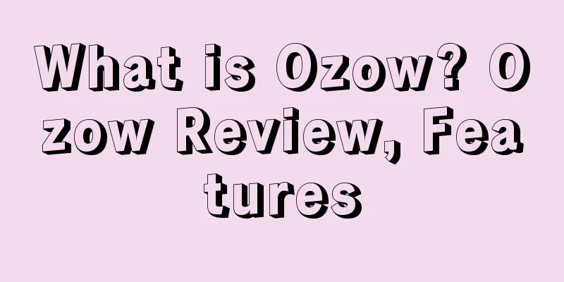 What is Ozow? Ozow Review, Features