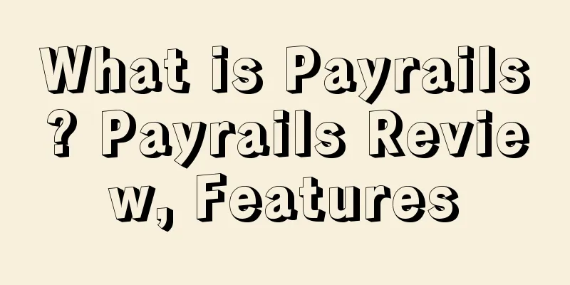 What is Payrails? Payrails Review, Features