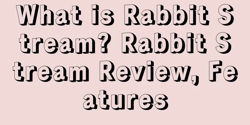 What is Rabbit Stream? Rabbit Stream Review, Features