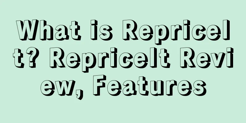 What is RepriceIt? RepriceIt Review, Features