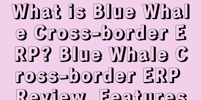 What is Blue Whale Cross-border ERP? Blue Whale Cross-border ERP Review, Features
