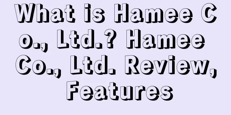 What is Hamee Co., Ltd.? Hamee Co., Ltd. Review, Features