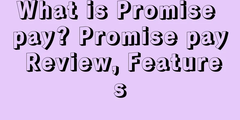 What is Promise pay? Promise pay Review, Features
