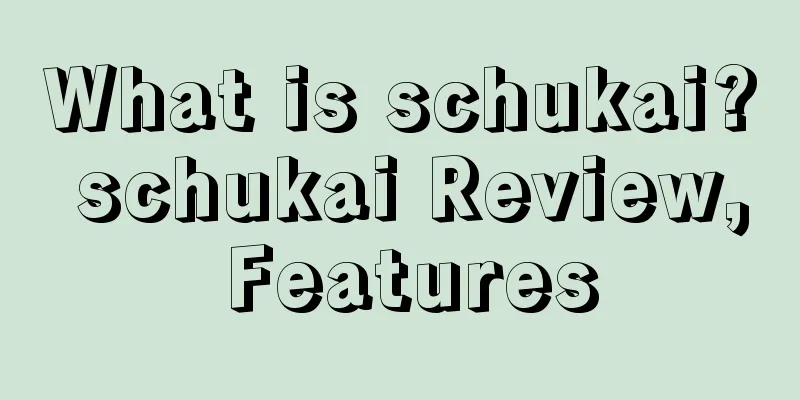 What is schukai? schukai Review, Features