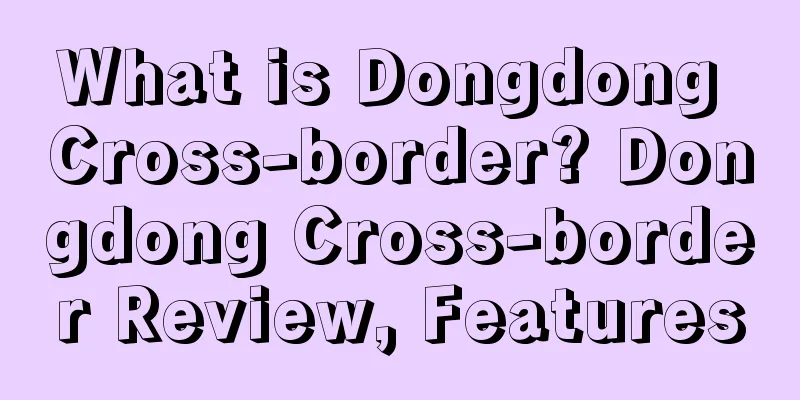 What is Dongdong Cross-border? Dongdong Cross-border Review, Features