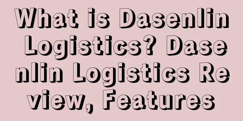 What is Dasenlin Logistics? Dasenlin Logistics Review, Features