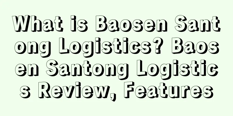 What is Baosen Santong Logistics? Baosen Santong Logistics Review, Features