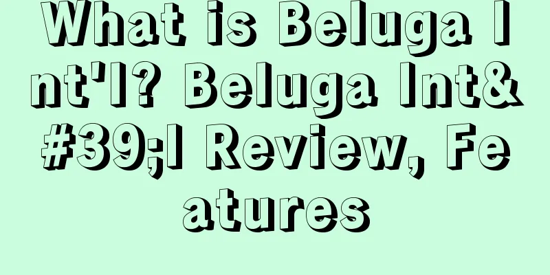 What is Beluga Int'l? Beluga Int'l Review, Features