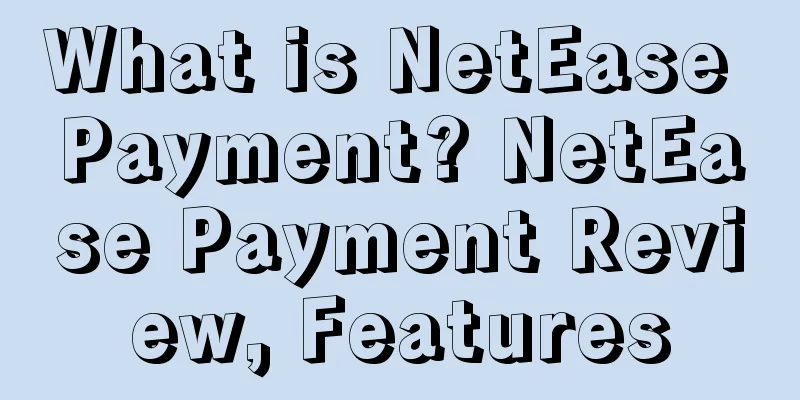 What is NetEase Payment? NetEase Payment Review, Features