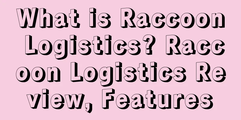 What is Raccoon Logistics? Raccoon Logistics Review, Features