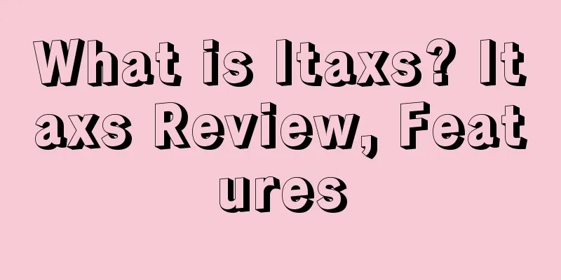 What is Itaxs? Itaxs Review, Features