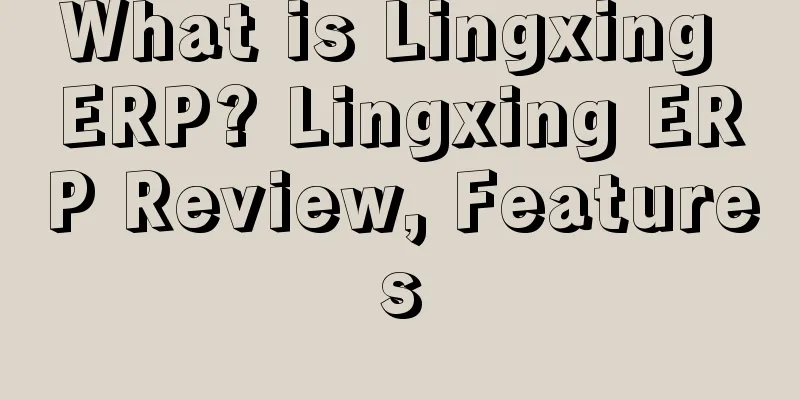 What is Lingxing ERP? Lingxing ERP Review, Features