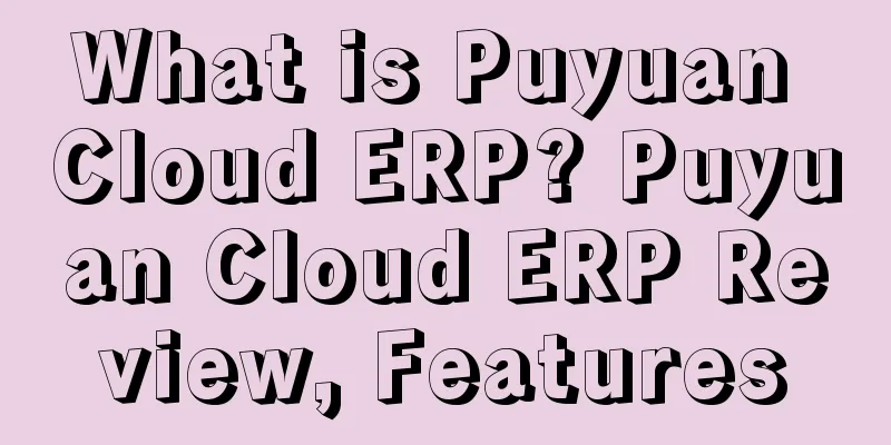 What is Puyuan Cloud ERP? Puyuan Cloud ERP Review, Features