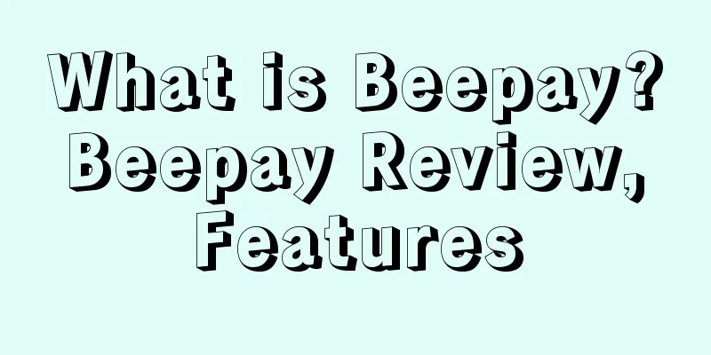 What is Beepay? Beepay Review, Features