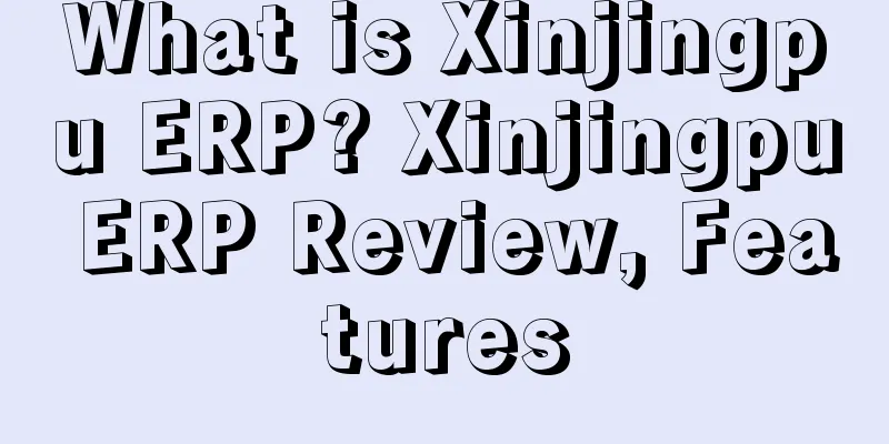 What is Xinjingpu ERP? Xinjingpu ERP Review, Features