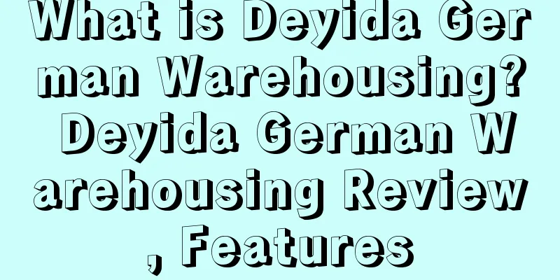 What is Deyida German Warehousing? Deyida German Warehousing Review, Features