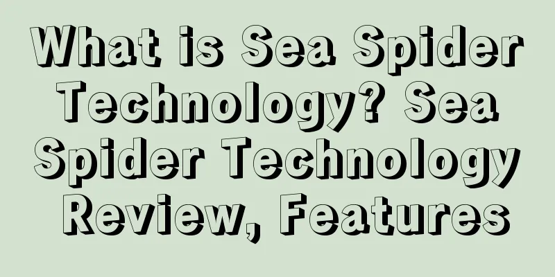 What is Sea Spider Technology? Sea Spider Technology Review, Features