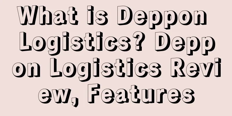 What is Deppon Logistics? Deppon Logistics Review, Features