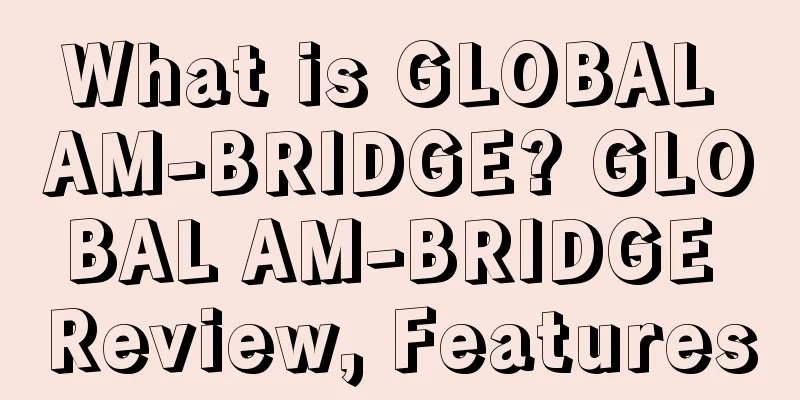 What is GLOBAL AM-BRIDGE? GLOBAL AM-BRIDGE Review, Features