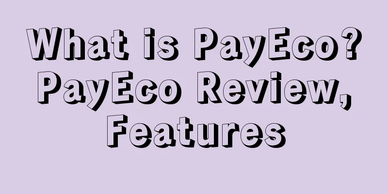 What is PayEco? PayEco Review, Features