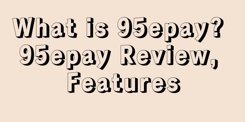 What is 95epay? 95epay Review, Features
