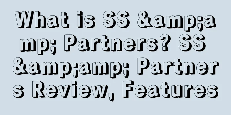 What is SS &amp; Partners? SS &amp; Partners Review, Features