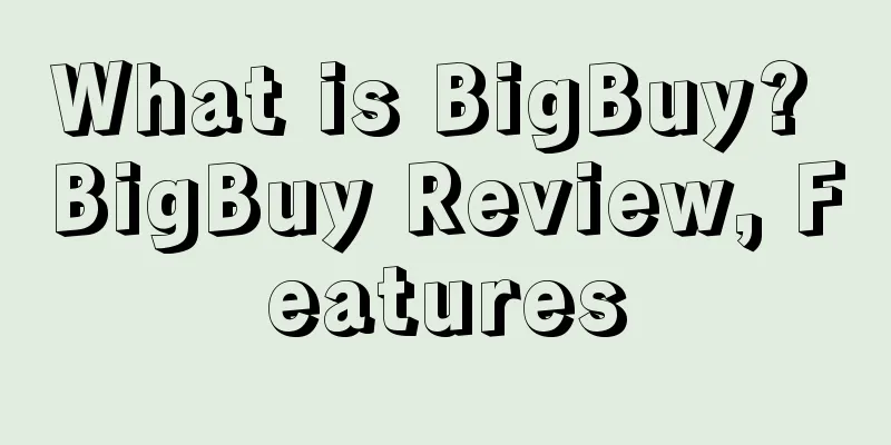 What is BigBuy? BigBuy Review, Features