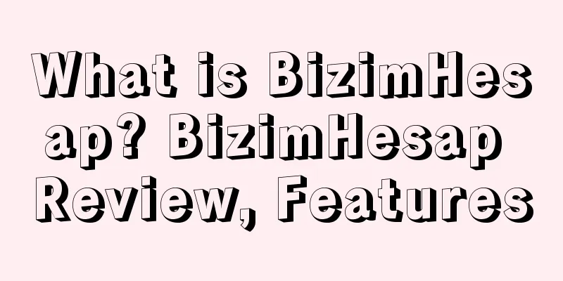 What is BizimHesap? BizimHesap Review, Features