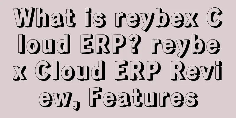 What is reybex Cloud ERP? reybex Cloud ERP Review, Features