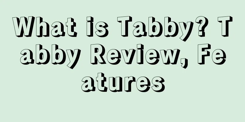 What is Tabby? Tabby Review, Features