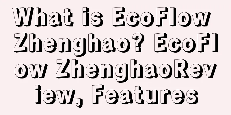 What is EcoFlow Zhenghao? EcoFlow ZhenghaoReview, Features
