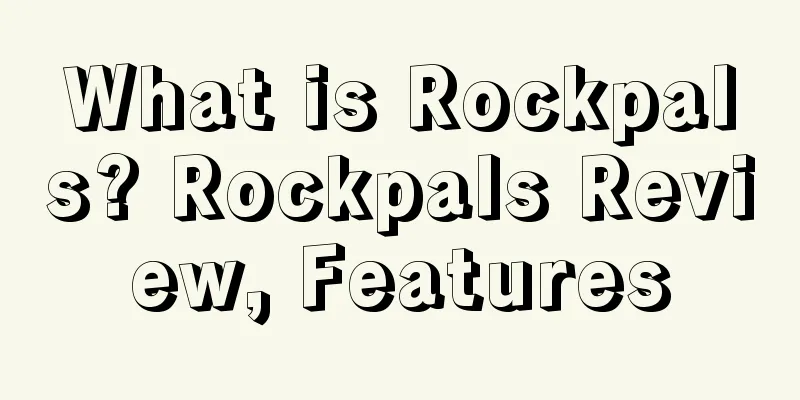 What is Rockpals? Rockpals Review, Features