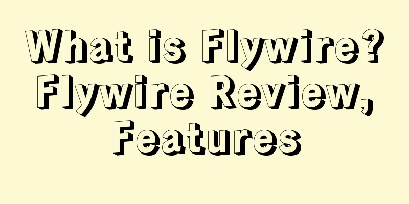 What is Flywire? Flywire Review, Features