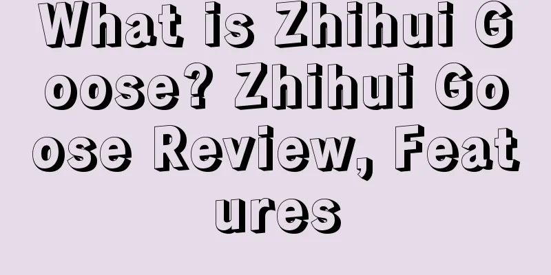 What is Zhihui Goose? Zhihui Goose Review, Features
