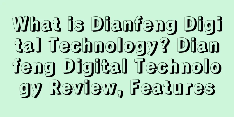 What is Dianfeng Digital Technology? Dianfeng Digital Technology Review, Features