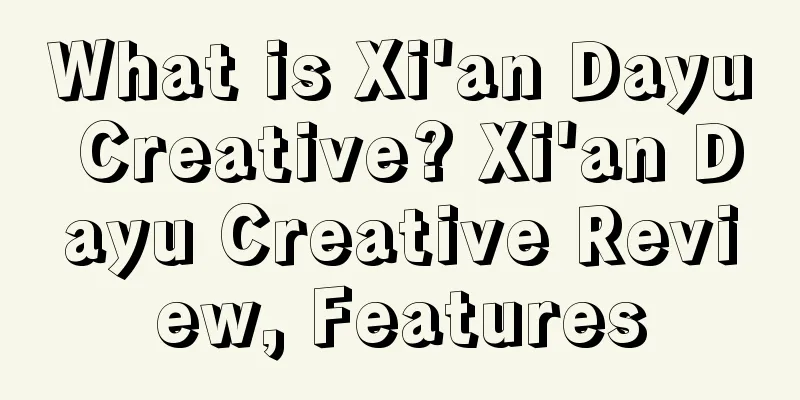 What is Xi'an Dayu Creative? Xi'an Dayu Creative Review, Features