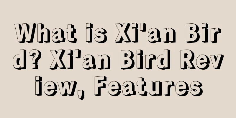 What is Xi'an Bird? Xi'an Bird Review, Features